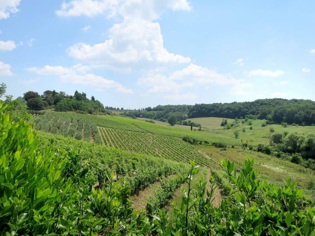 Agriturismo La Moraia